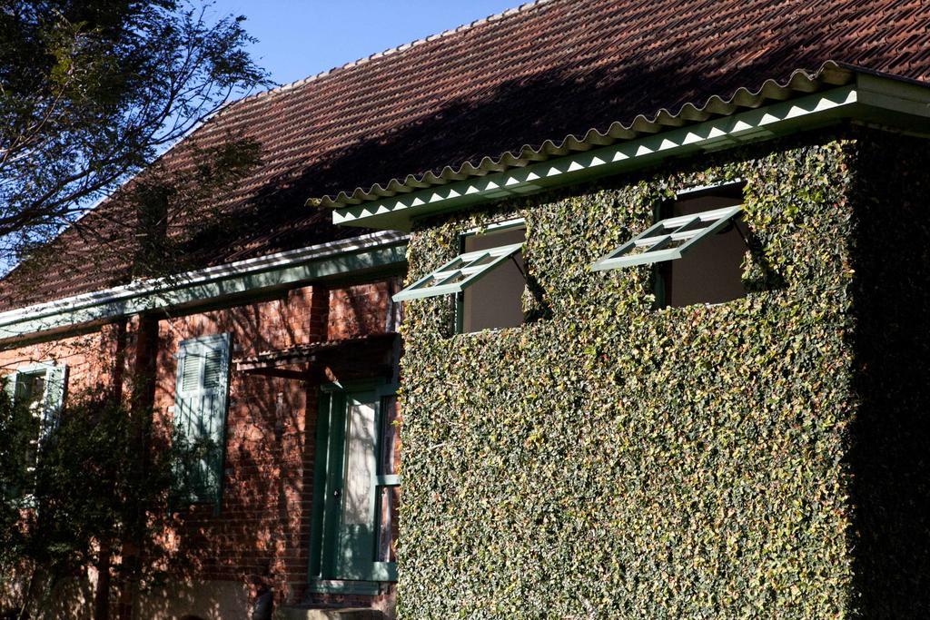 Casa Blauth Villa ฟาโฮปิลญา ภายนอก รูปภาพ